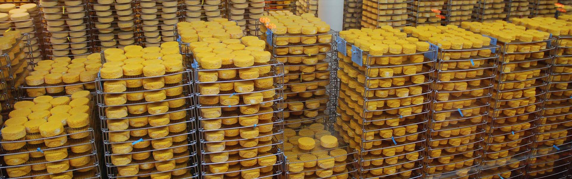 Green Jersey Travel Blog: The cheeses of France Green Jersey Travel Blog: The cheeses of France